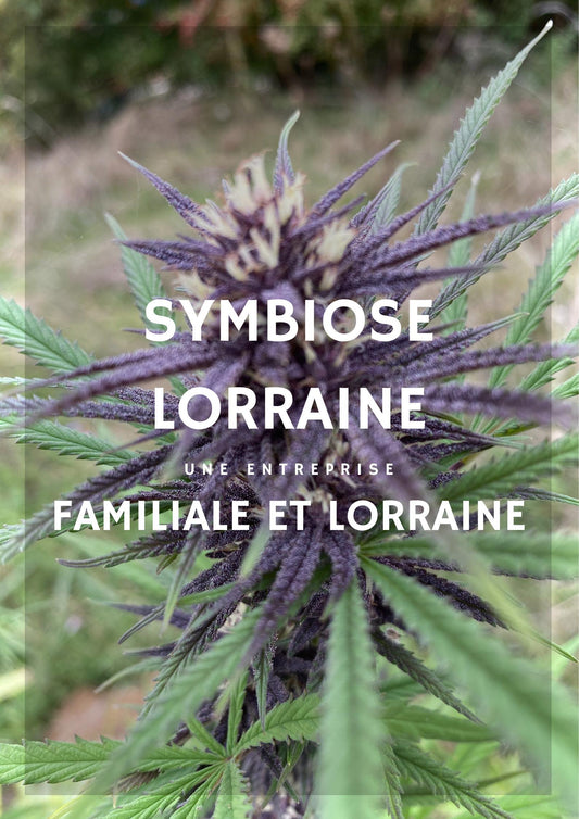 Le made in Lorraine selon Symbiose