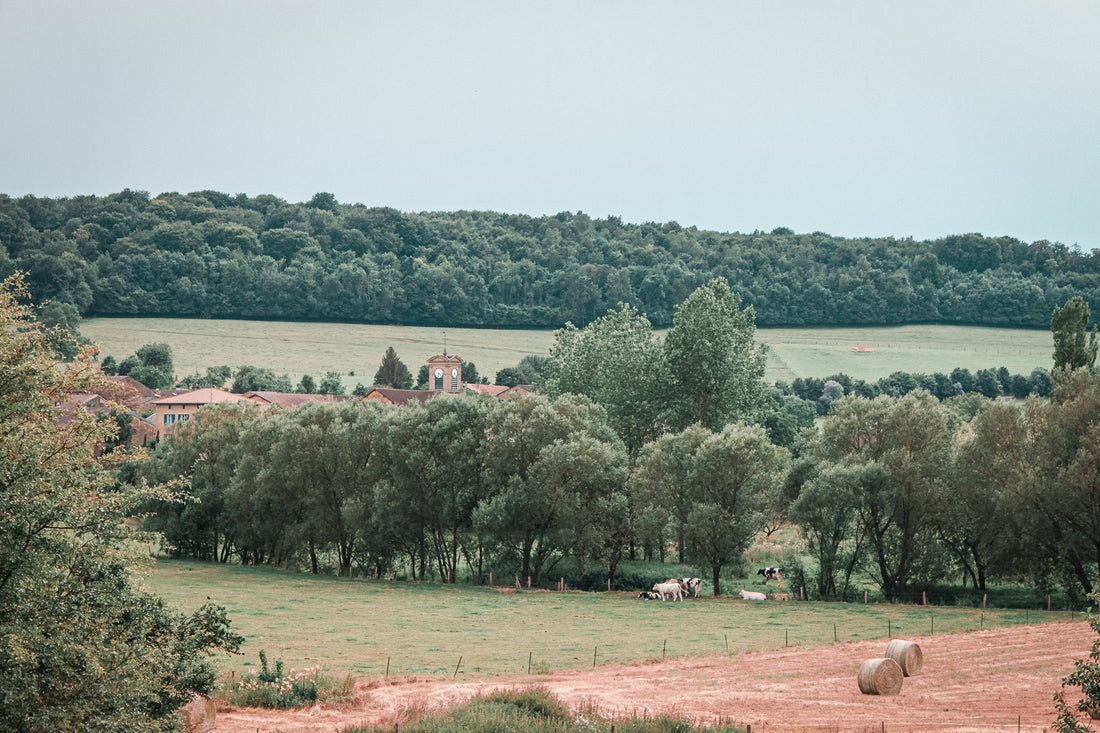 La Symbiodiversité