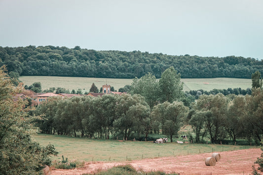 La Symbiodiversité