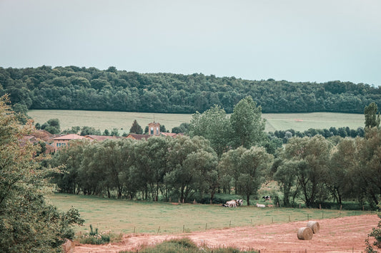exploitation-campagne-lorraine-cbd