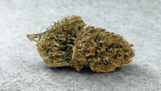 NOUVEAU // Fleur CBG cultivée en permaculture aux arômes d’agrumes frais